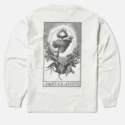 T-Shirts|T-Shirts|Aeyde ARIES Ex Amino Cotton-Jersey Long-Sleeve T-Shirt - S