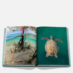 Decorative Accessories|Dr. Martens Assouline Redsea The Saudi Coast