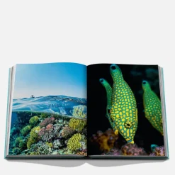 Decorative Accessories|Dr. Martens Assouline Redsea The Saudi Coast