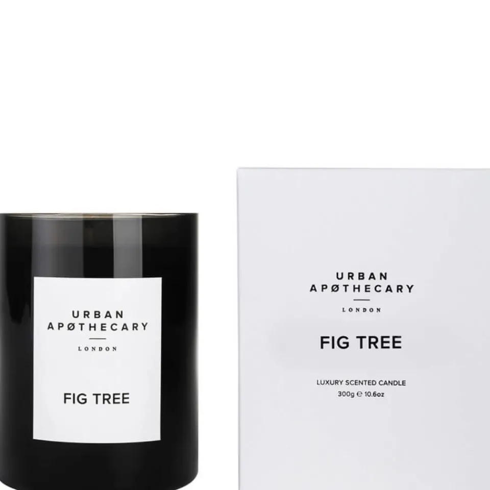 Bathroom|Home Fragrance|Dr. Martens Urban Apothecary Fig Tree Luxury Candle 300g